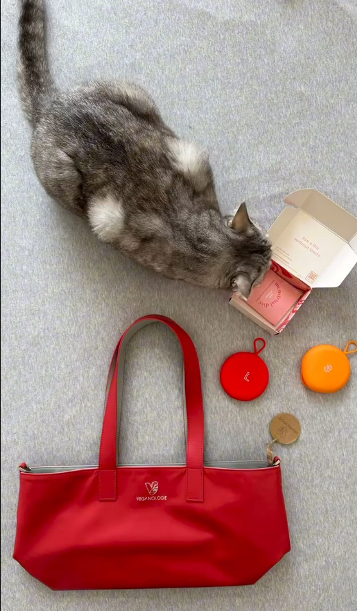 Palindrome Reversible Tote